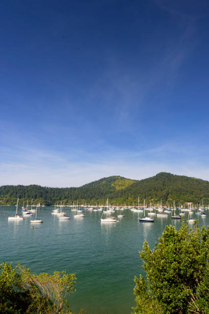 istock Ribeira Bag - Ubatuba 1344036564
