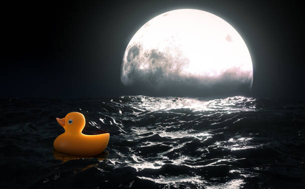 istock Rubber Duck and Moon On Water 1344036811