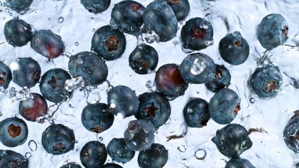 istock Fresh blueberries being sprinkled into water 1344038689
