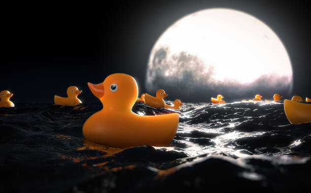 Rubber Ducks and Moon On Water