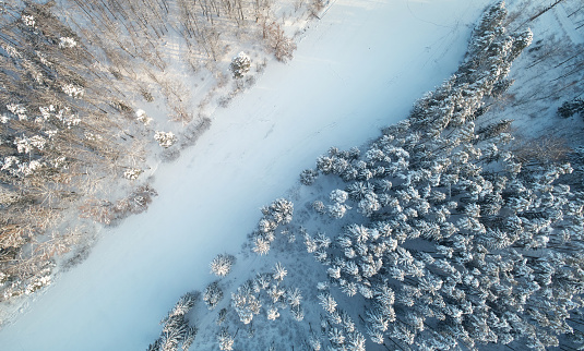 Frozen river in middle of forest aerial above drone view
