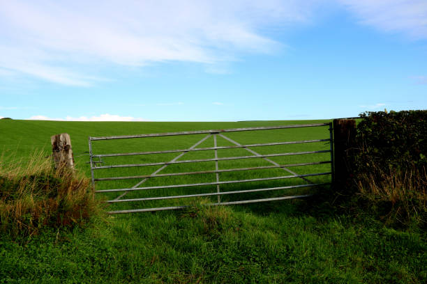 istock Old Metal Farm Gate in a Countryside Location 1344041370