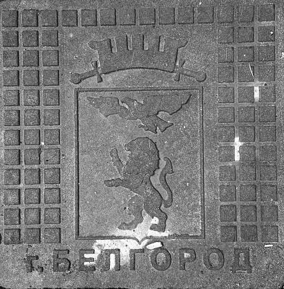 Manhole cover in Florence with the coat of arms of the city of the lily.