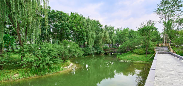 istock A view of a park in Chengdu, Sichuan, China 1344043749