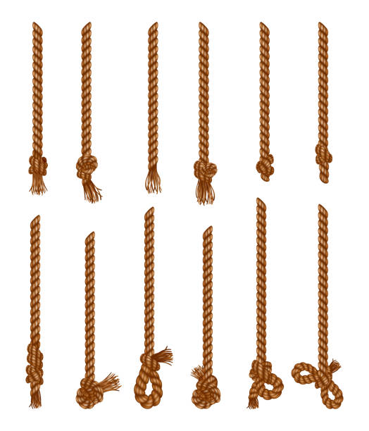 タッセル付きの孤立した吊りロープのセット。現実的な結び目の航海糸。航海または海洋の縦繊維。ブラシとほつれた結び目を持つヘンプ弦 - ツナ点のイラスト素材／クリップアート素材／マンガ素材／アイコン素材