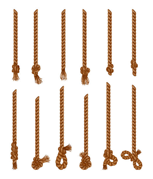 Set of isolated hanging ropes with tassels. Realistic knotted nautical thread. Nautical or marine vertical fiber. Hemp strings with brush and frayed knot Set of isolated hanging ropes with tassels. Realistic knotted nautical thread. Nautical or marine vertical fiber. Hemp strings with brush and frayed knot. fringe stock illustrations