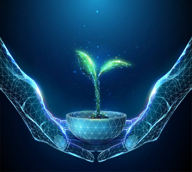ilustraciones, imágenes clip art, dibujos animados e iconos de stock de par de manos abstractas sosteniendo una planta verde joven en maceta - seed human hand tree growth
