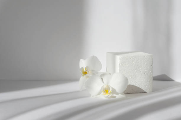 istock Improvised white 3d podium for presentations of packaging and cosmetics. Foam cube with two orchid flowers next to it, in rays of morning sun. Hard shadows from objects fall on white background 1344049397