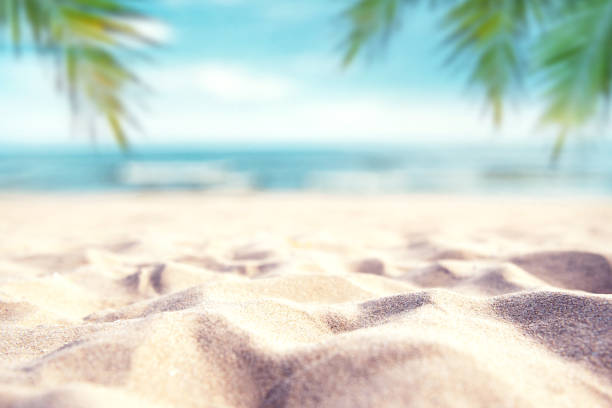 istock Tropical summer sand beach and palm on sea sky background. 1344050098