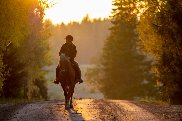 женщина верхом на лошадях по проселочной дороге - mounted стоковые фото и изображения