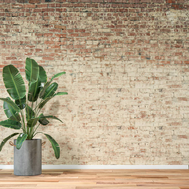 istock Empty unfurnished interior with ruined wall background and potted plant 1344057725