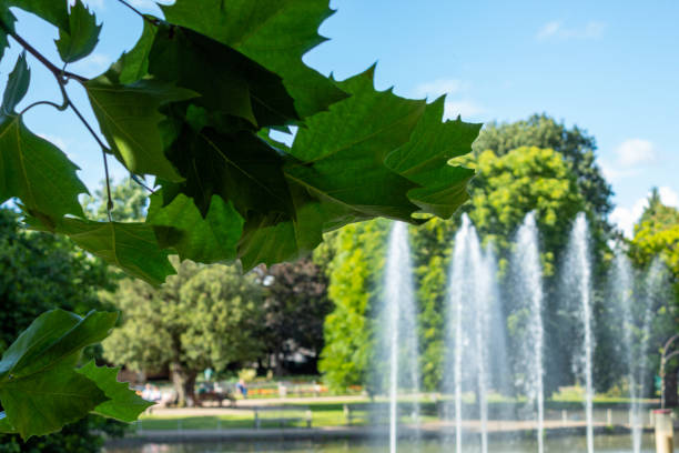 A fountain in a park on a sunny day in England