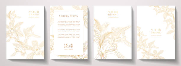 Floral cover, frame design set with gold line pattern (orchid flower on white background) Luxury premium vector background pattern for tropical menu, elite summer sale, luxe invite template orchid stock illustrations