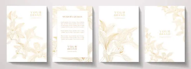 Vector illustration of Floral cover, frame design set with gold line pattern (orchid flower on white background)