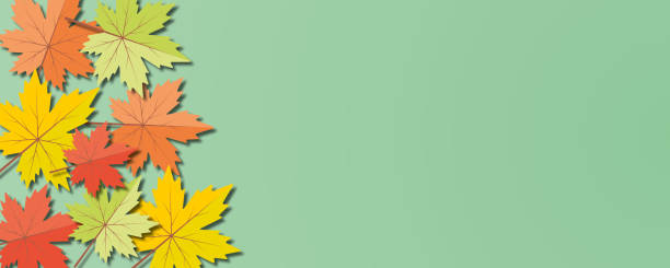 istock Colourful maple leaves on pastel green background. Autumn banner concept. 1344075184
