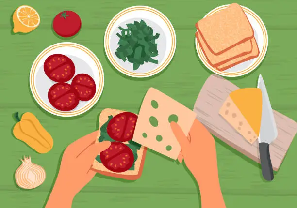 Vector illustration of Hands are preparing a sandwich. On the table are ingredients: tomato, onion, pepper, lemon, herbs, cheese and bread. Top view.