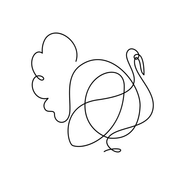 Turkey bird vector art illustration