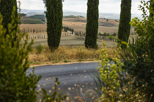 Landscapes and countryside: iconic Tuscany outdoors