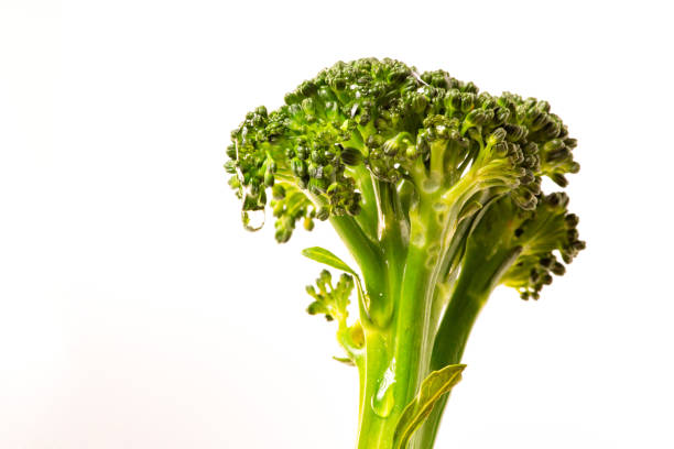 istock Fresh Broccoli parts on the white with background. 1344088540