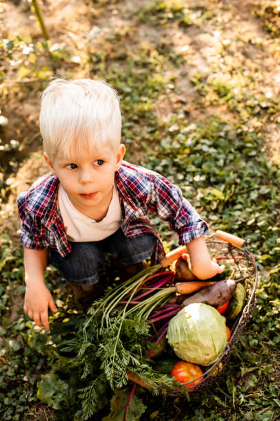 istock Portrait Of Boy With Ice Cream 1344088688