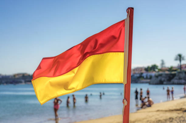 Surf Life Saving flag on beach in Portugal stock photo