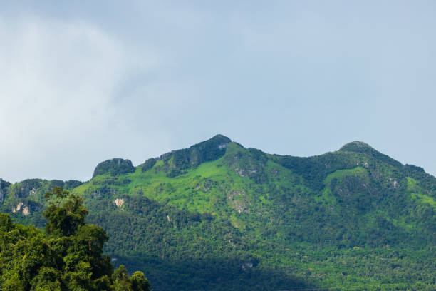 istock The brightness after the rain on the mountain 1344090402