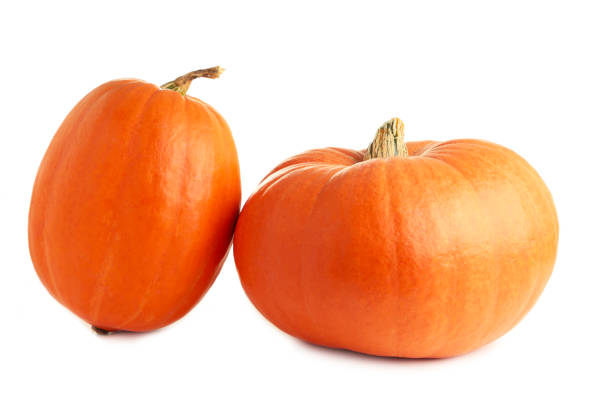 istock Two fresh orange pumpkins isolated on white background 1344090407
