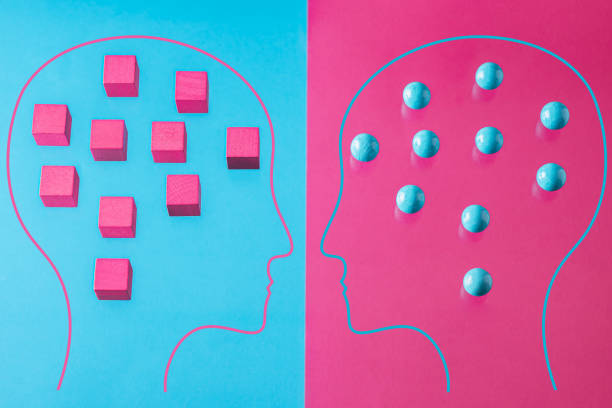istock Two abstract brain for concept of idea and teamwork. Different thinking. 1344092631
