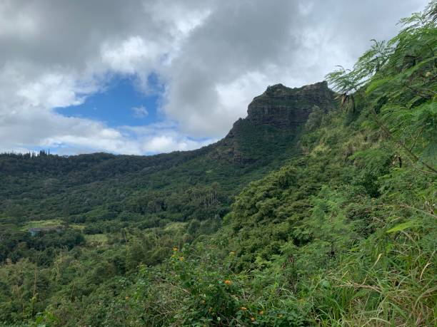 istock KAUAI HAWAII HIKING CLIFFS AND NATURE 1344092703