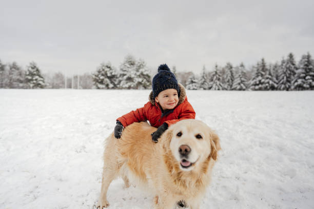 istock Best friends on snow 1344095814