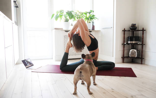 istock Young woman doing exercises at home with her dog 1344095898