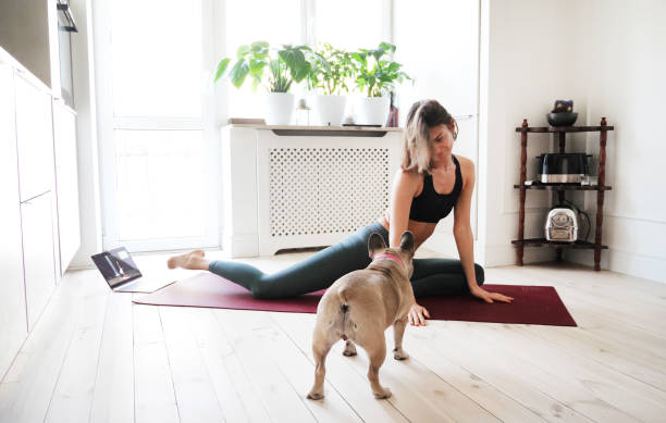 istock Young woman doing exercises at home with her dog 1344095900