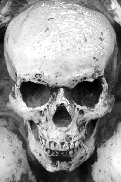 istock Artificial human skull close-up as background for congratulations to Halloween 1344097095