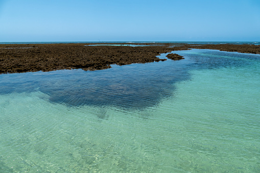 Idyllic beach with crystal clear water in Boipeba Island, State of Bahia, Brazil
