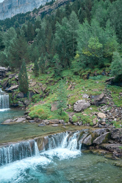 istock Waterfall with forest in the background called Gradas de Soaso in Monte Perdido National Park 1344105894