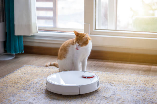 istock Cat looks the home robot. 1344106331