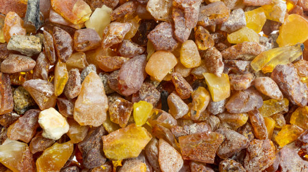 istock Baltic amber with visible details. background or textura 1344109084