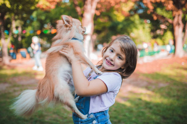 istock Cute little girl is playing with a dog 1344109820