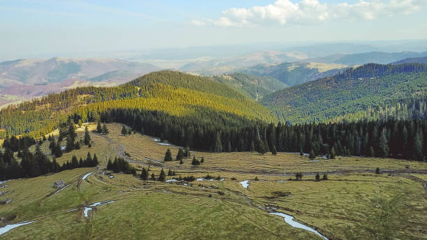 istock Vladeasa Mountains - The wild romanian charpatia 1344109997