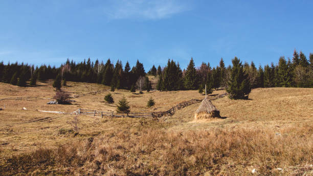 istock Vladeasa Mountains - The wild romanian charpatia 1344110004