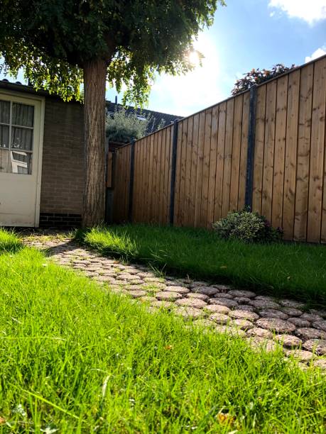 istock Lushes green grass taken from my yard 1344111742