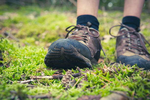 istock Hiking shoes in the forest. 1344116095