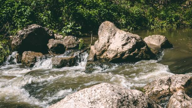 istock Turda Gorge Gorge Gorge - Romania 1344116184