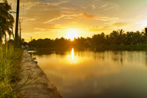 istock Sunset from lake banks 1344116479