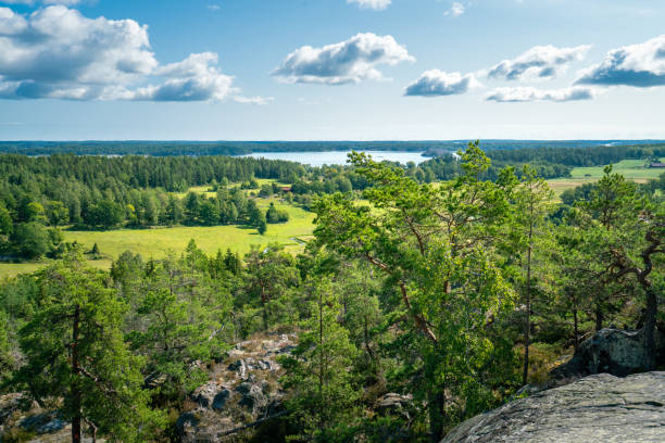 bella giornata estiva nel paesaggio svedese della riserva naturale di segersgarde. boschi verdi, prati vista dalla cima della roccia. vacanze estive in svezia. - kalmar foto e immagini stock