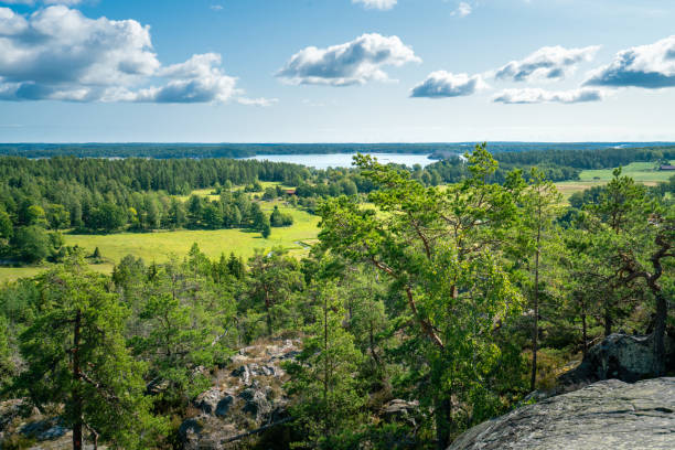 Beautiful summer day in Swedish landscape of Segersgarde nature reservation. Green forests, meadows view from the top of the rock. Summer holiday in Sweden. stock photo