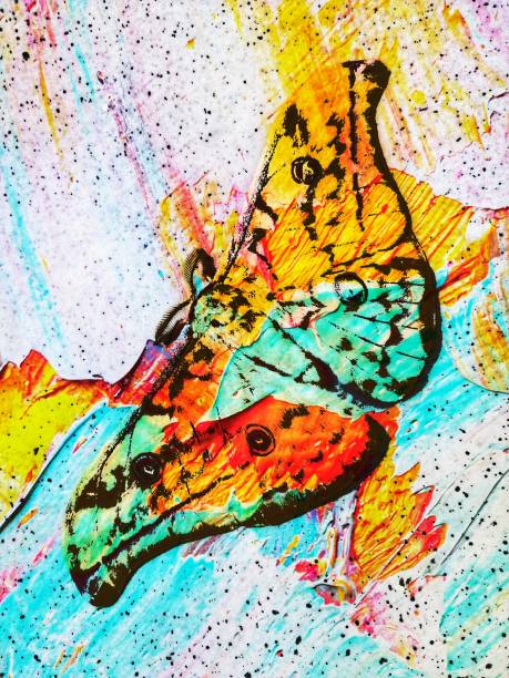 istock An illustration of a silk moth 1344123025