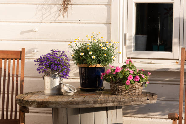 istock Flowers on a small table outside a house.. 1344125214