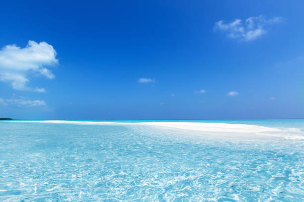 istock Maldivian sandbank in Indian ocean 1344129023