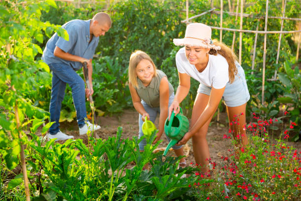 istock Mother and daughter watering plants 1344129052